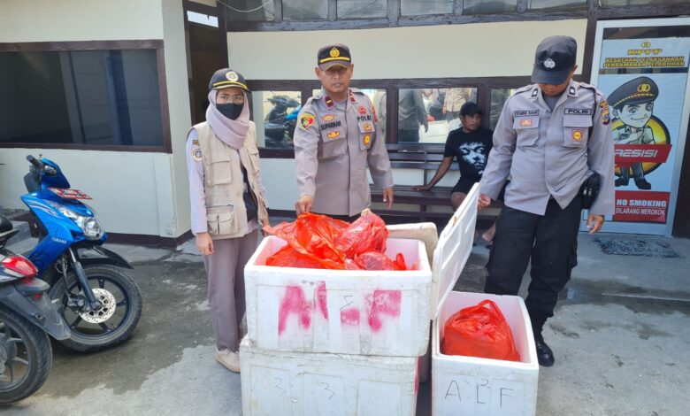 Polisi Dampingi Balai Karantina Pertanian Tolak Daging Sapi Masuk Luwuk Kembali Ke Maluku