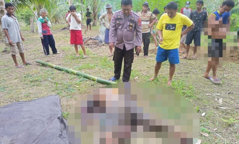 Seorang Lansia di Bunta Ditemukan Meninggal di Kebunnya, Polisi Terjun TKP