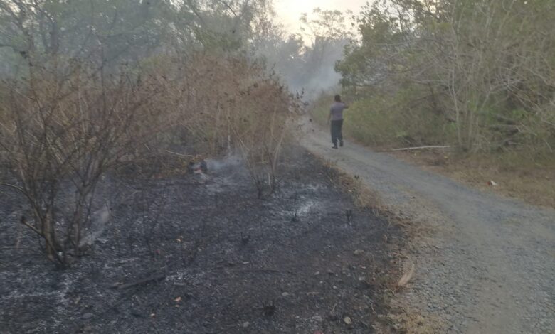 Aksi Kapolsek Bualemo Turun Tangan Padamkan Karhutla di Desa Nipa Kalemoan