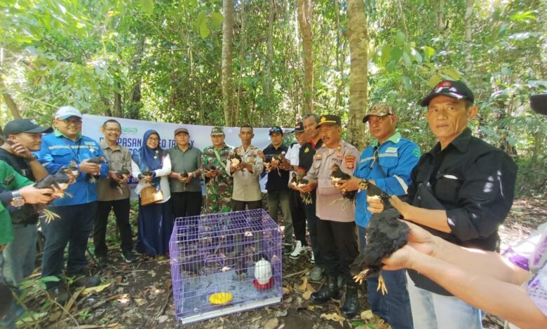 Kasubsektor Batui Selatan Ikuti Program Pelepasliaran Maleo di Hutan Konservasi Bangkiriang